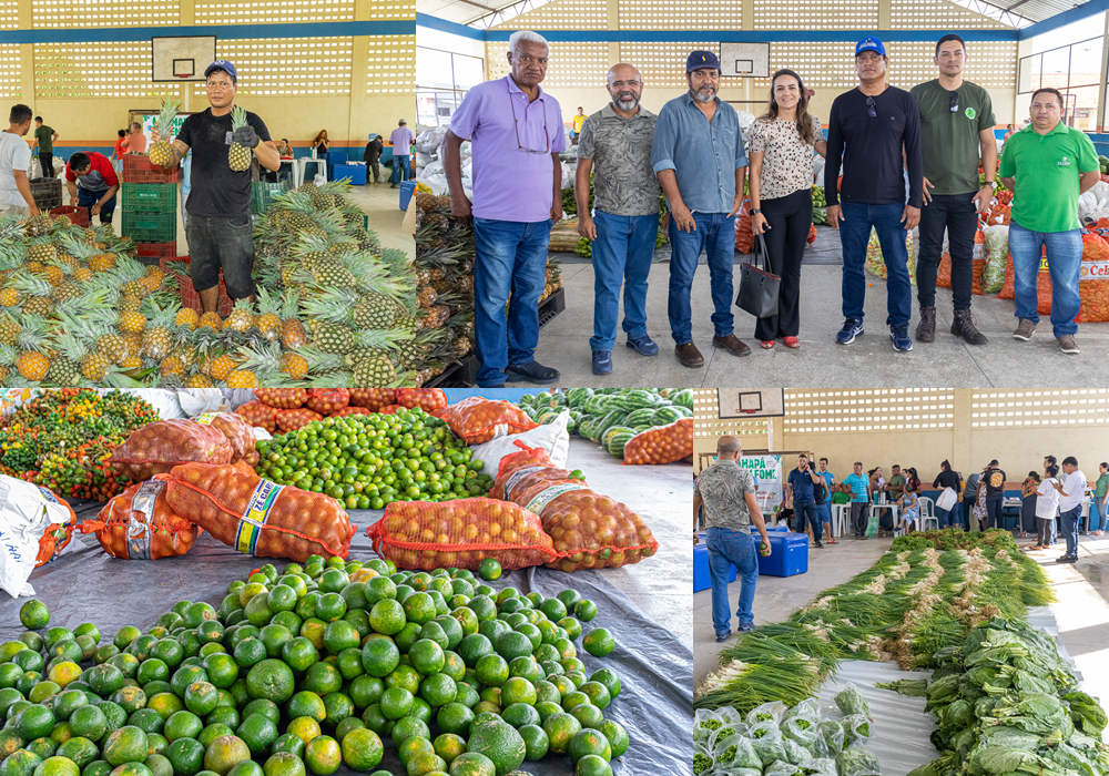 PROGRAMA DE AQUISIÇÃO DE ALIMENTOS (PAA) - PORTO GRANDE